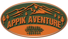 Appik aventure Logo